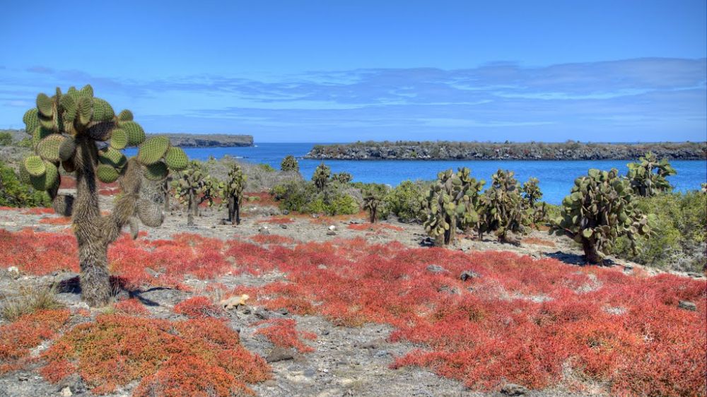 mision-galapagos