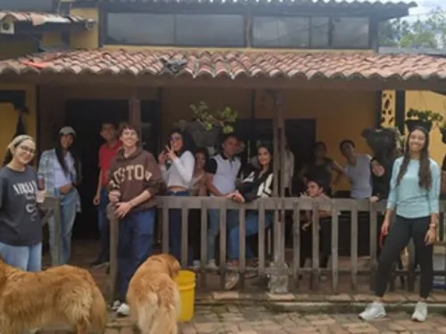 Cierre del voluntariado 2024- I