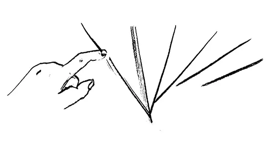 Museo en juego - Onda mecánica