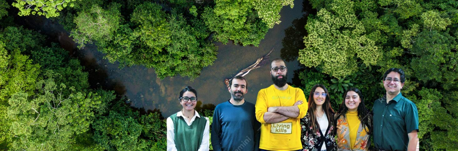 Banner Selva y conflicto