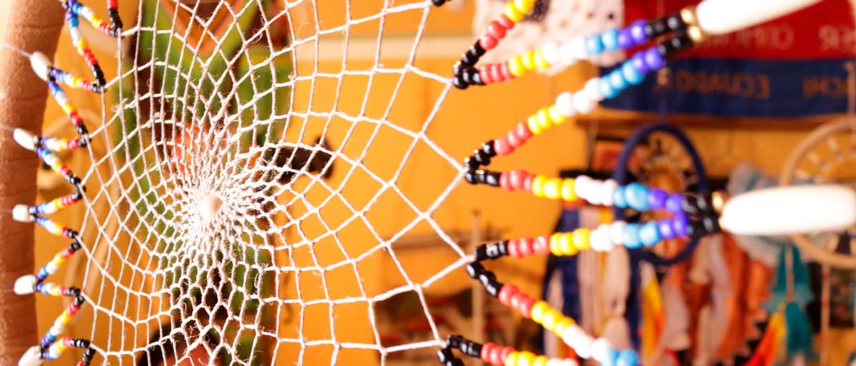 Anthropology Program