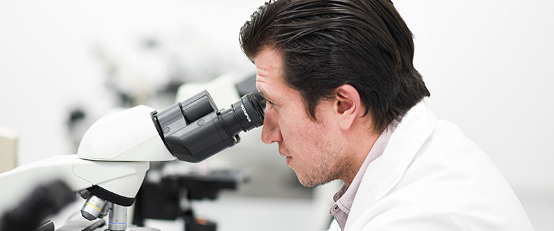 Proceso de admisión