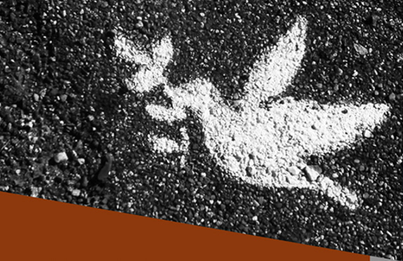 Academia propone movilización social pacífica y construcción de pedagogía para la paz