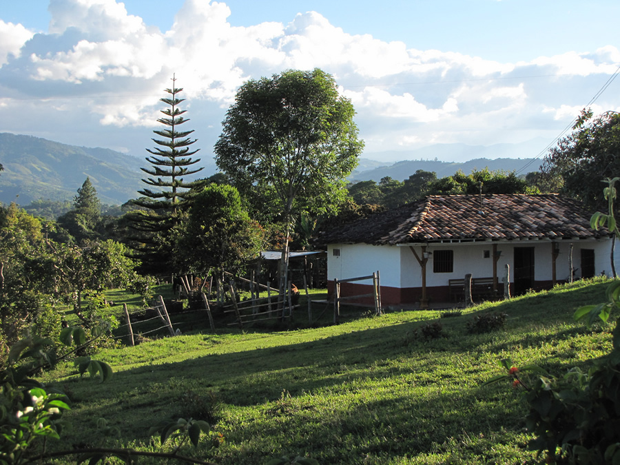 Estado no sabe cuánta tierra tiene disponible  
