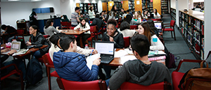 Bachelor´s Degree in Social Science