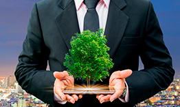 Master’s in Environmental Law and Management 