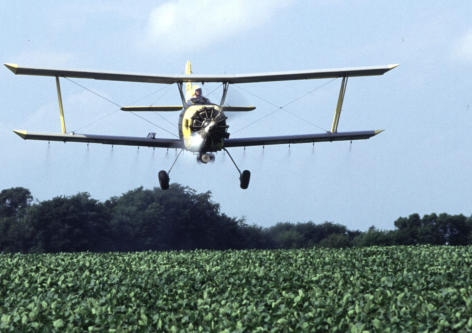 Gobierno analiza uso de glifosato sectorizado y focalizado  