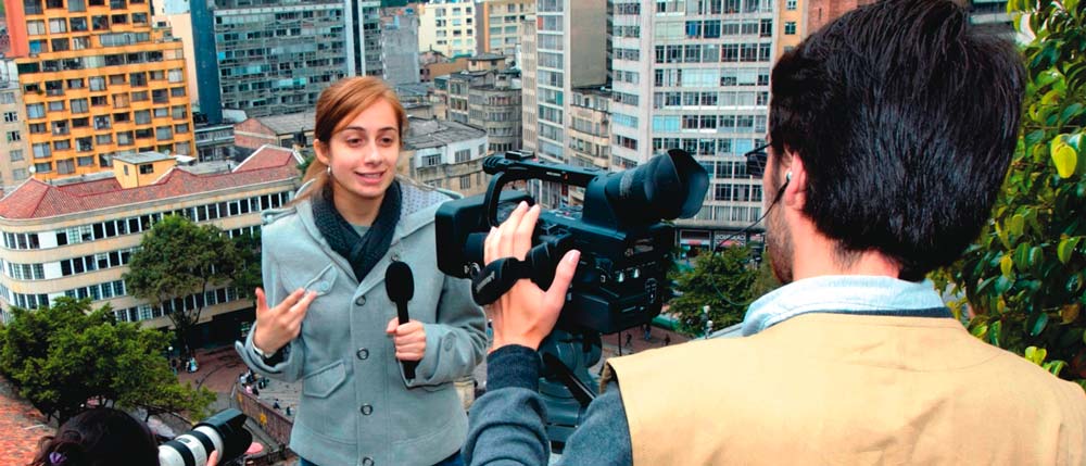 Journalism and Public Opinion Program