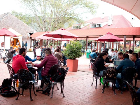 Internacionalización