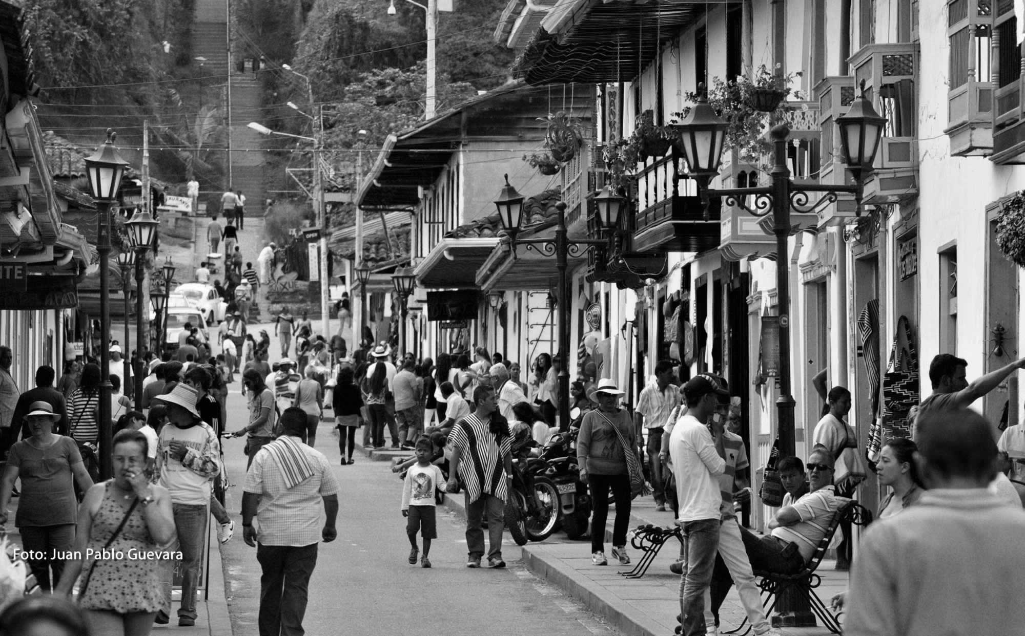 Master’s in Social Studies