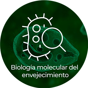 Biología Molecular, Evolución y Genética